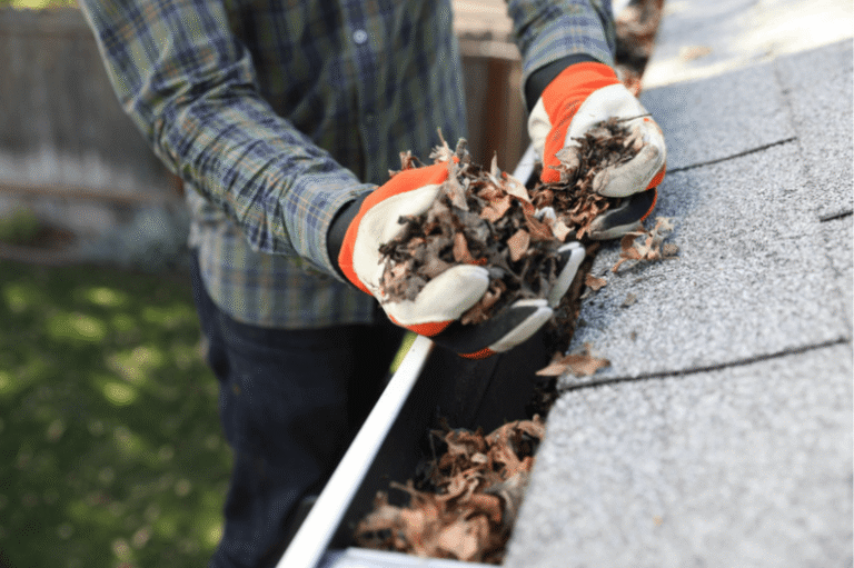 Why Gutter Maintenance Matters: Preventing Water Damage with LeafBlaster Pro