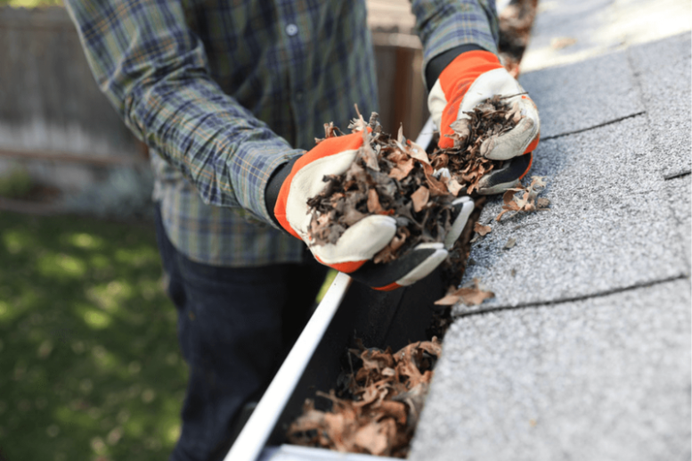 Why Gutter Maintenance Matters: Preventing Water Damage with LeafBlaster Pro